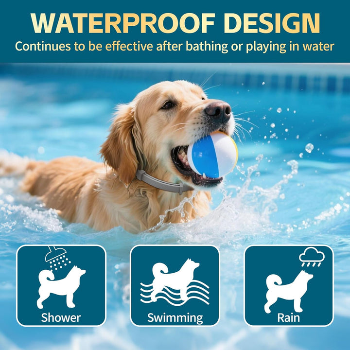 Flea and Tick Collar for Dogs – 12-Month Protection – Adjustable & Waterproof – Safe, Long-Lasting Repellent for Fleas, Ticks, Lice & Mosquitoes – Fits Small, Medium & Large Dogs