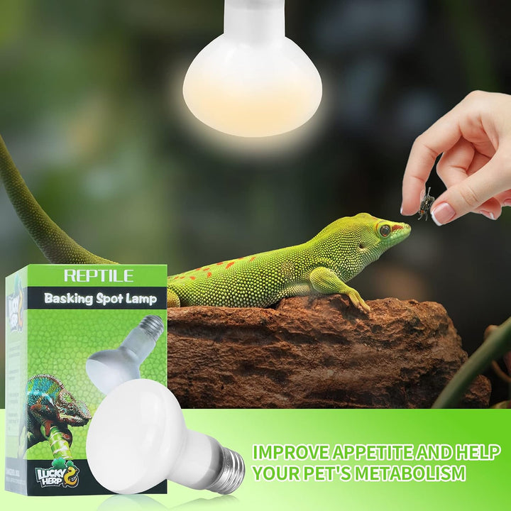 Reptile Heat Lamp - 100W (2Nd Gen) Heat Lamp Bulbs for Reptiles 2 Pack, Amphibians Basking Heat Lamp Bulbs, UVA Daylight Basking Light for Reptiles, Bearded Dragon, Lizard, Turtle, Chicken