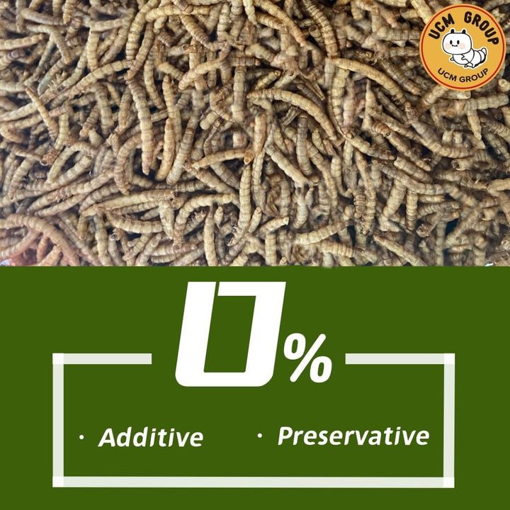 10LB Dried Mealworms for Wild Birds, Chickens, High Protein Organic Chicken Feed, 100% Non-Gmo for Chickens, Ducks, Turtles and Reptiles