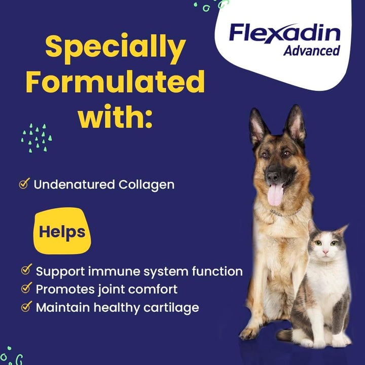 Flexadin Advanced Hip and Joint Supplement with Undenatured Collagen for Dogs, One Chew a Day Hip and Joint Support Chew for Dogs and Cats, Clinically Proven Vet-Approved Formula, 60 Chews