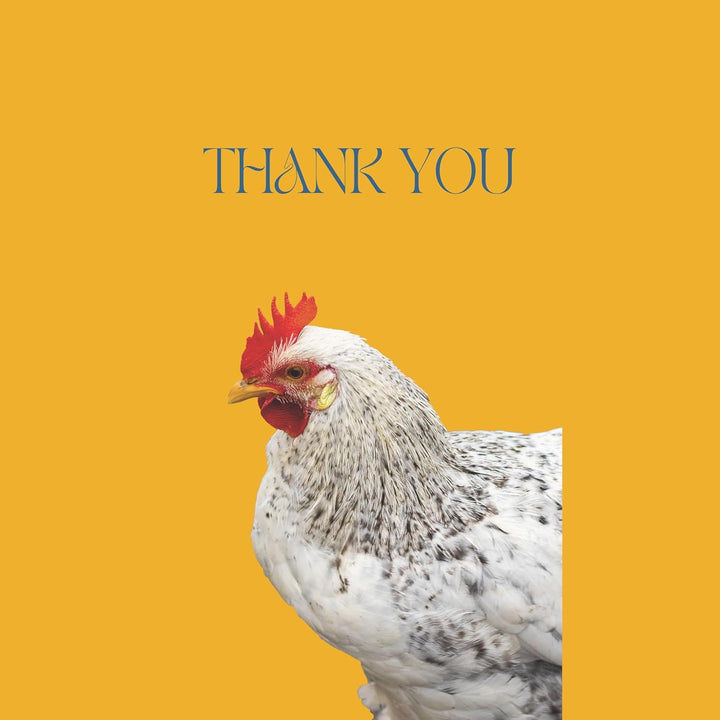 Natural Chicken Chili Mix Dewomax Powder - 1LB - Promotes Balanced Digestive Wellness - Dandelion, Black Pepper, Garlic Powder