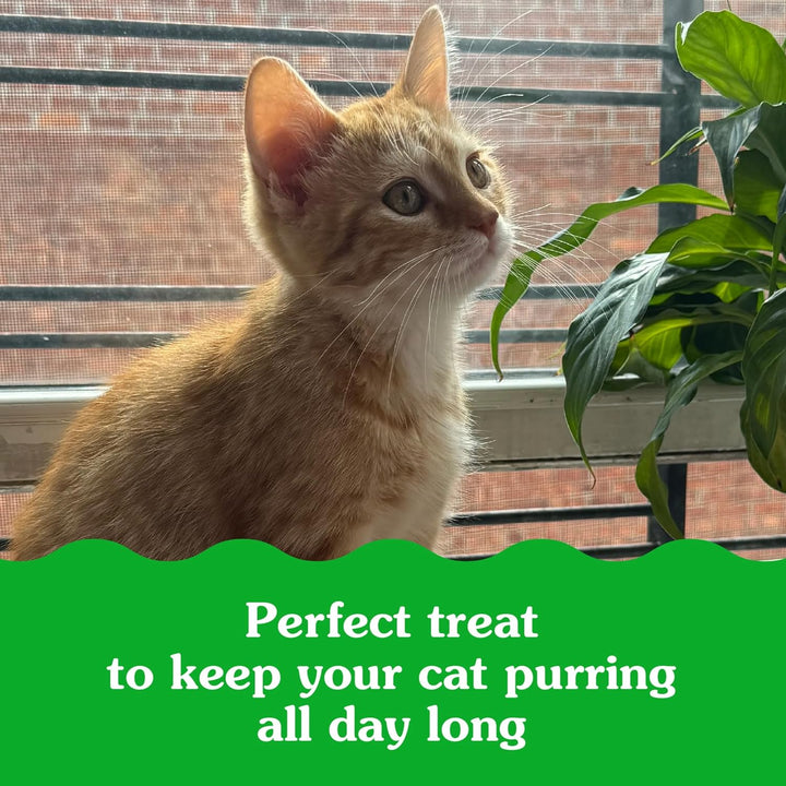 Feline Smartbites Healthy Kitten Treats, Chicken Flavor, 2.1 Oz Pack