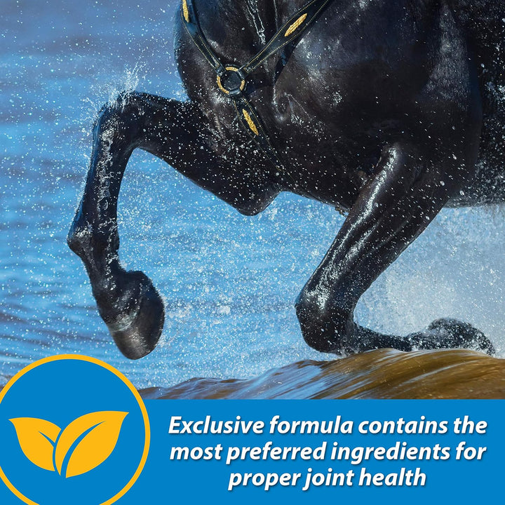 Fluidflex Liquid Joint Supplement for Horses, Helps Maintain Healthy Hip & Joint Function, 32 Ounces 32 Day Supply
