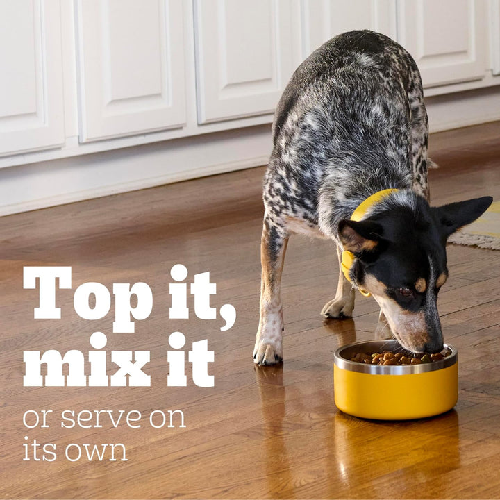 Chopped Ground Dinner Wet Dog Food Filet Mignon & Beef Variety Pack, 13.2 Oz. Cans (12 Count, Pack of 1)