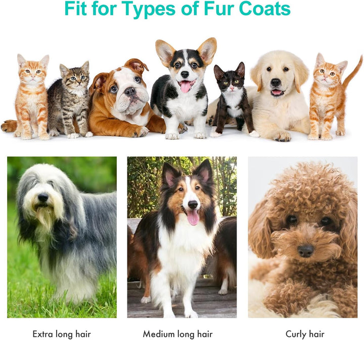 P1 Pro Pet Grooming Kit & Vacuum Suction 99% Pet Hair, Professional Clippers with 5 Proven Grooming Tools for Dog and Cat