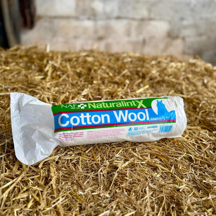 Naturalintxtm Cotton Wool 350G