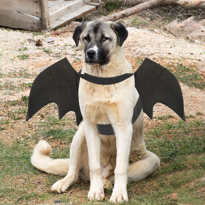 Dog Bat Costume - Halloween Pet Costume Bat Wings Cosplay Dog Costume Cat Costumes for Party L