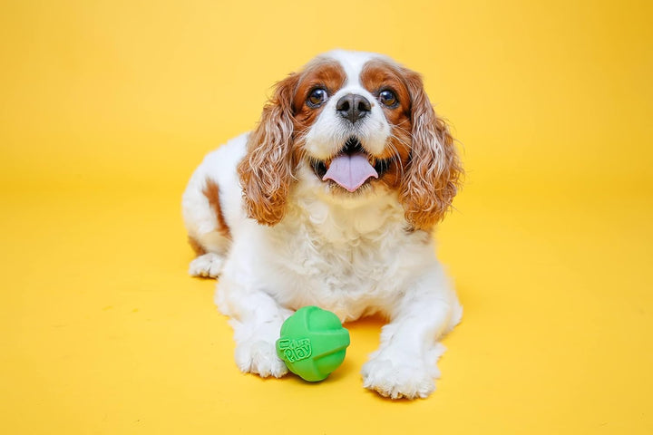 Duraplay Ball Squeaky Latex Dog Toy, Medium 3 Pack