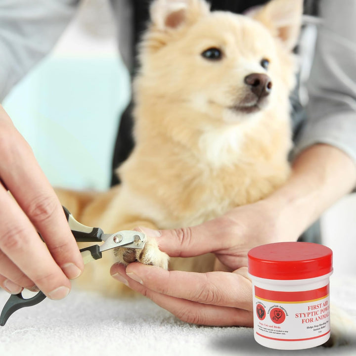 Styptic Powder for Animals – Fast-Acting Blood Stop for Dogs, Cats, Birds & Small Pets – First Aid Powder for Nail Bleeding, Minor Cuts & Grooming – 1 Oz, Pack of 1