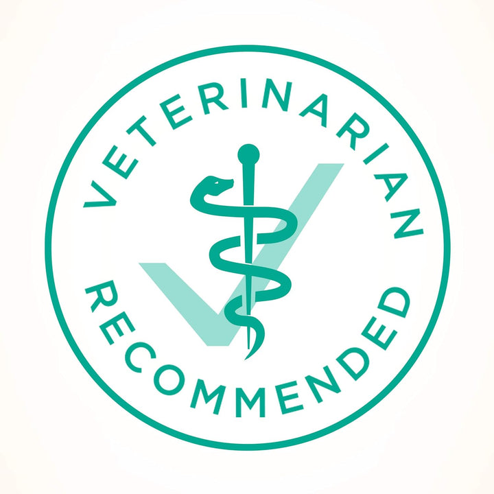 Sensitive Stomach, Sensitive Skin, Natural Dry Cat Food, +Plus Sensitive Skin and Stomach Formula - 16 Lb. Bag