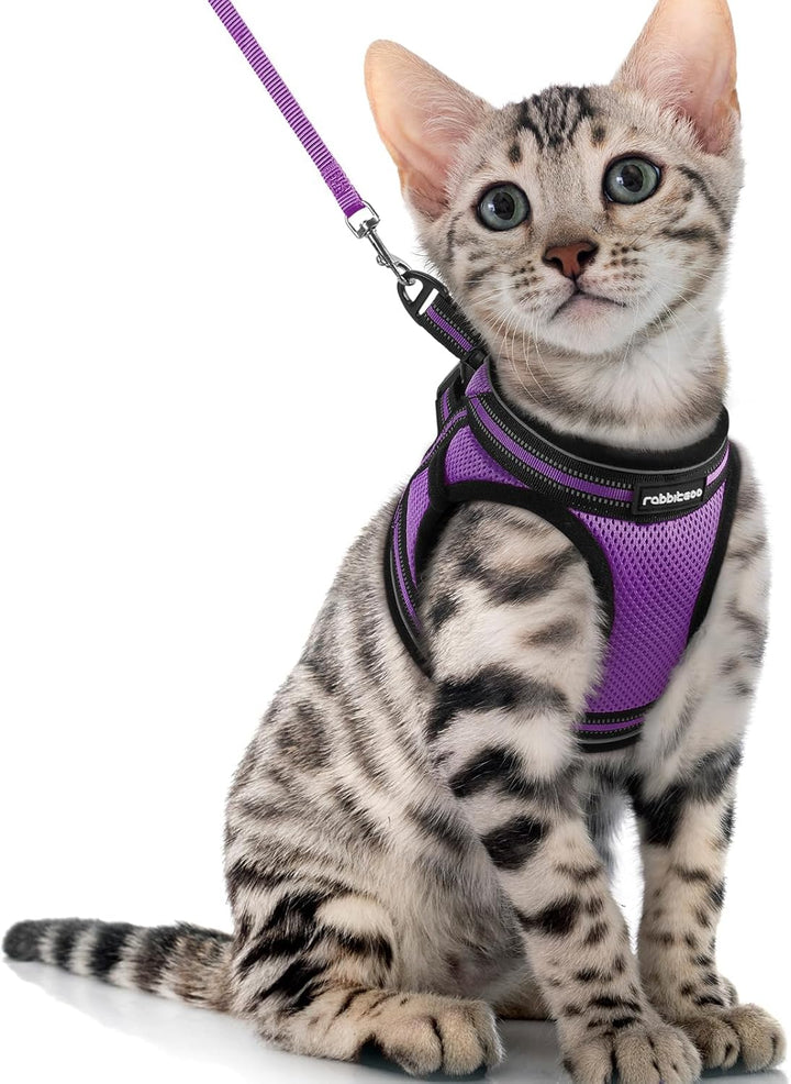 Cat Harness and Leash Set for Walking Escape Proof, Adjustable Soft Kittens Vest with Reflective Strip for Cats, Comfortable Outdoor Vest, Black, S