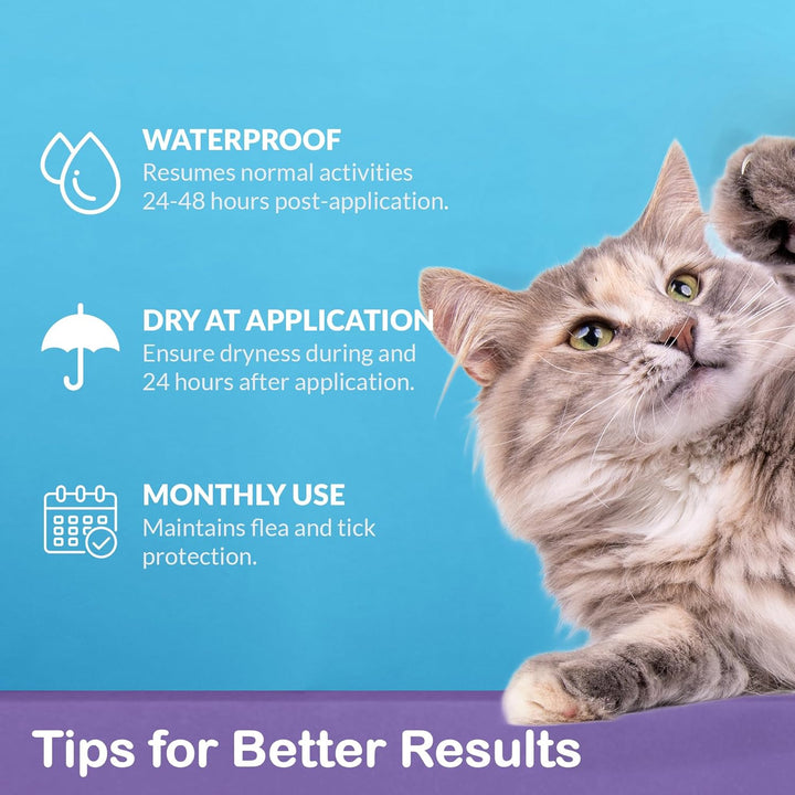Flea and Tick Prevention for Large Cats: Waterproof Topical Cat Flea and Tick Treatment – Fast-Acting & Long-Lasting at Home Flea Control for Cats over 9 Lbs and 8 Weeks or Older – 6-Dose Supply