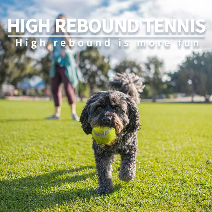 2-Inch Tennis Balls for Dogs, Fetch Toys for Small Medium Dogs, Bouncy & Durable Tennis Balls for Ball Launcher Toy, 6 Pack Fetch Toy for Outdoor Play
