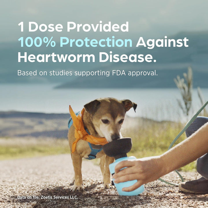 (Sarolaner, Moxidectin, and Pyrantel Chewable Tablets) Chewables for Dogs, 48 Mg/Tab, 44.1-88 Lbs, (Green), 6 Tablets