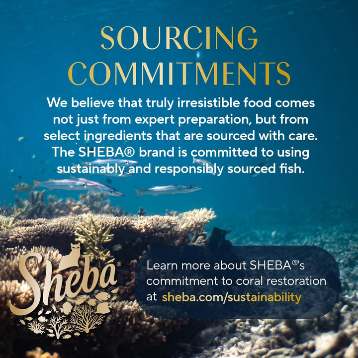 Perfect Portions Wet Cat Food Cuts in Gravy Variety Pack, Roasted Chicken Entree, with Sustainable Salmon, and Tender Turkey Entree, 2.6 Oz. Twin-Pack Trays (24 Count, 48 Servings)