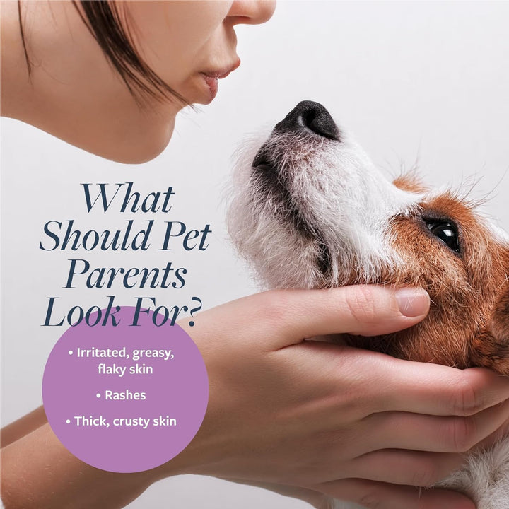 Clinical Care Antiparasitic & Antiseborrheic Medicated Dog Shampoo, 16 Oz – Paraben, Dye, Soap Free – Hydrating and Antifungal Shampoo for Dogs, White