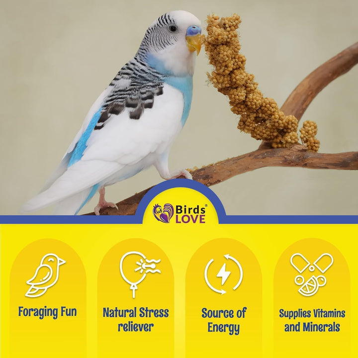Millet Tips & Tails for Birds - Parakeets, Cockatiels, Lovebirds, Finches, Budgies, Canaries, Cockatoos - Natural & Healthy Millet for Birds - Parakeet Food & Treats for All Parrots, 1Lb