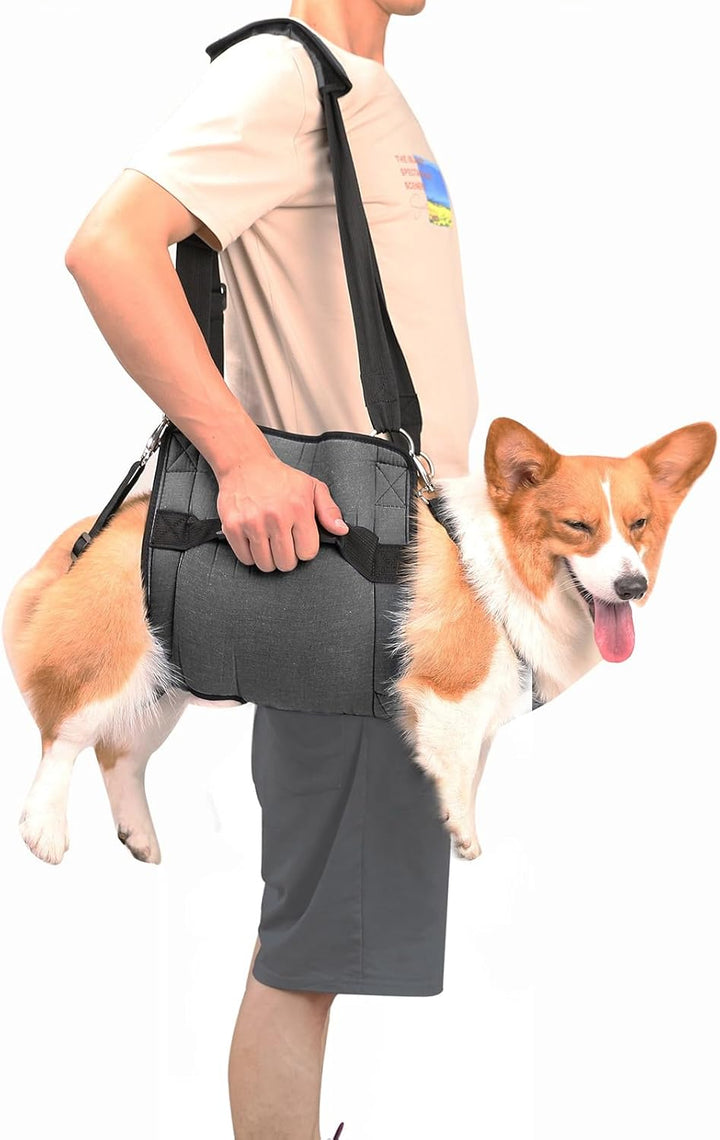 Dog Carry Sling, Emergency Backpack Pet Legs Support & Rehabilitation Dog Lift Harness for Nail Trimming, Dog Carrier for Senior Dogs Joint Injuries, Arthritis, up and down Stairs(Xl, Blue)