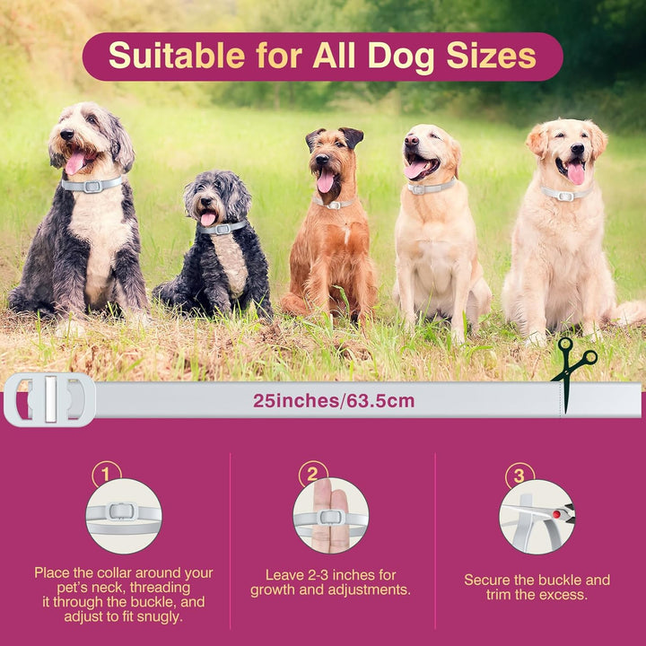 Natural Flea and Tick Collar for Dogs - 4 Pack, 8 Months Long-Lasting Protection, Waterproof, Adjustable Size for Small Medium and Large Dog