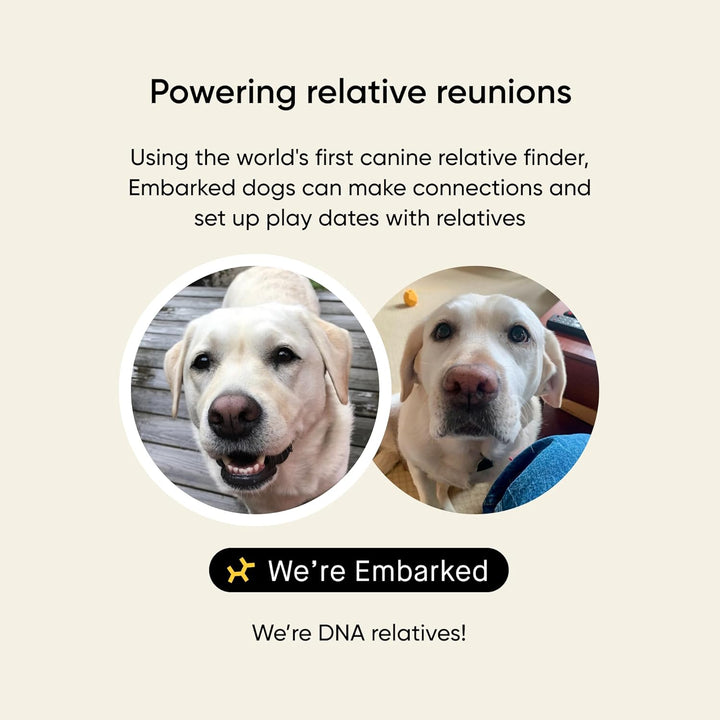 Breed & Health Kit - Dog DNA Testing Kit - Discover Breed, Ancestry, Relative Finder, Genetic Health, Traits, Allergy Risk Scores