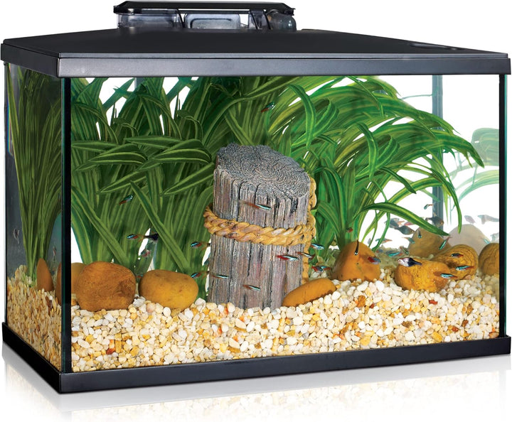 Aquarium Kit - 20 Gallon Fish Tank - LED