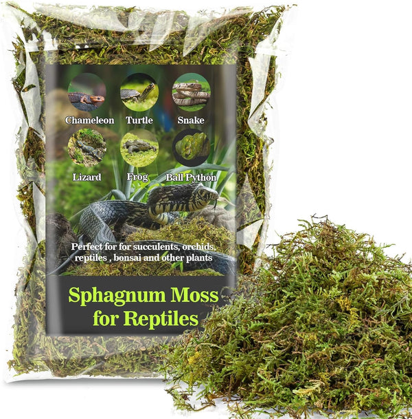 Sphagnum Moss for Reptiles - Terrarium Reptiles Moss Green Dried Peat Moss Habitat Bedding Moss for Snakes Turtle Frog Gecko and Other Reptiles Substrate (5, Ounces)