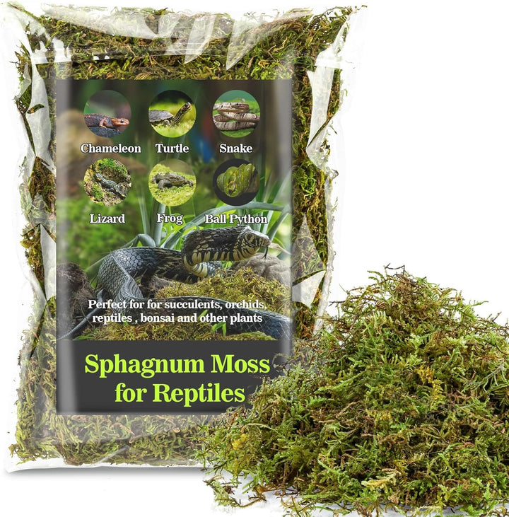 Sphagnum Moss for Reptiles - Terrarium Reptiles Moss Green Dried Peat Moss Habitat Bedding Moss for Snakes Turtle Frog Gecko and Other Reptiles Substrate (5, Ounces)