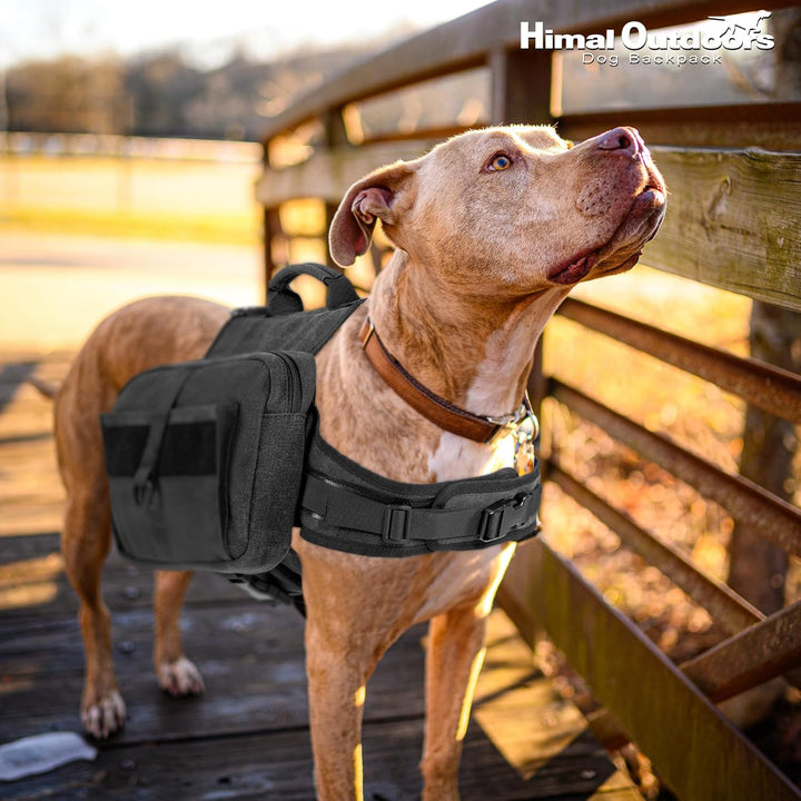 Outdoors Dog Backpack & Saddle Bag, Tactical Hiking Backpack for Large Dogs with Side Pockets & Adjustable Strap