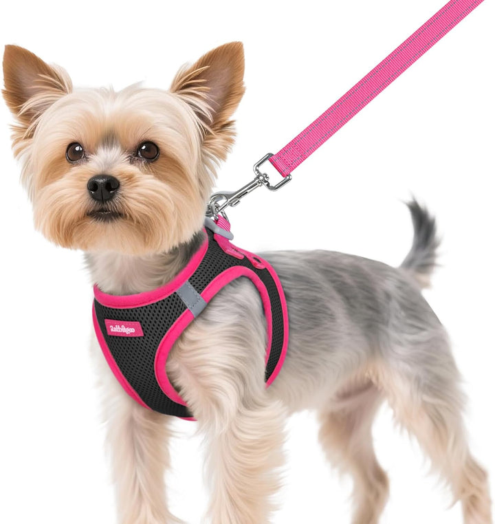 Dog Harness Small Sized and Leash Set, Step-In Breathable Pet Harness, Soft Walking Reflective Puppy Vest for Small Dogs, Black & Rose Red, S