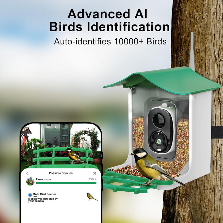 Bird Feeder with Camera AI Identify Birds Species Solar Panel - Smart Bird House with 1080P HD+ Video Live Stream, Instant Arrival Alerts, Live View, Capture Video, Bird Lover Watching (Green)