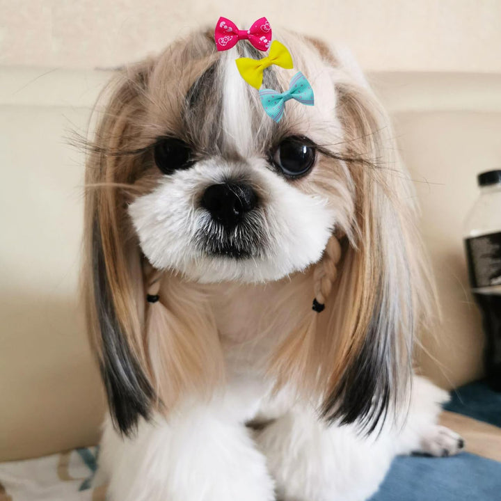 40PCS Dog Hair Bows with Clips 1.5Inch Girl Small Dog Apparel Accessories for Pet Puppy Cat Kitten Rabbit Hair Bows Clips