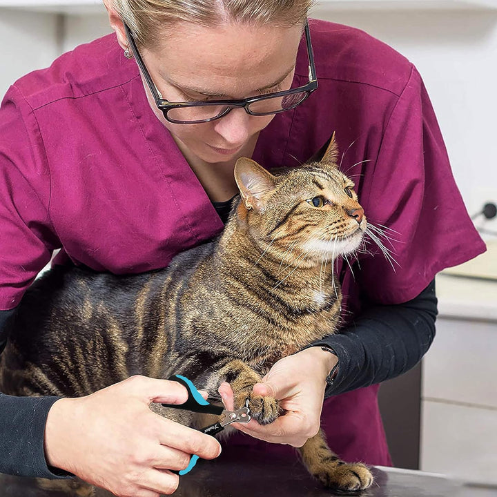 Cat Nail Clipper Stainless Steel Cat Claw Trimmers for Rabbits, Guinea Pigs, Birds, Puppies, Kittens and Small Animals Pet Nail Clipper for Professional and Home Use (Blue)