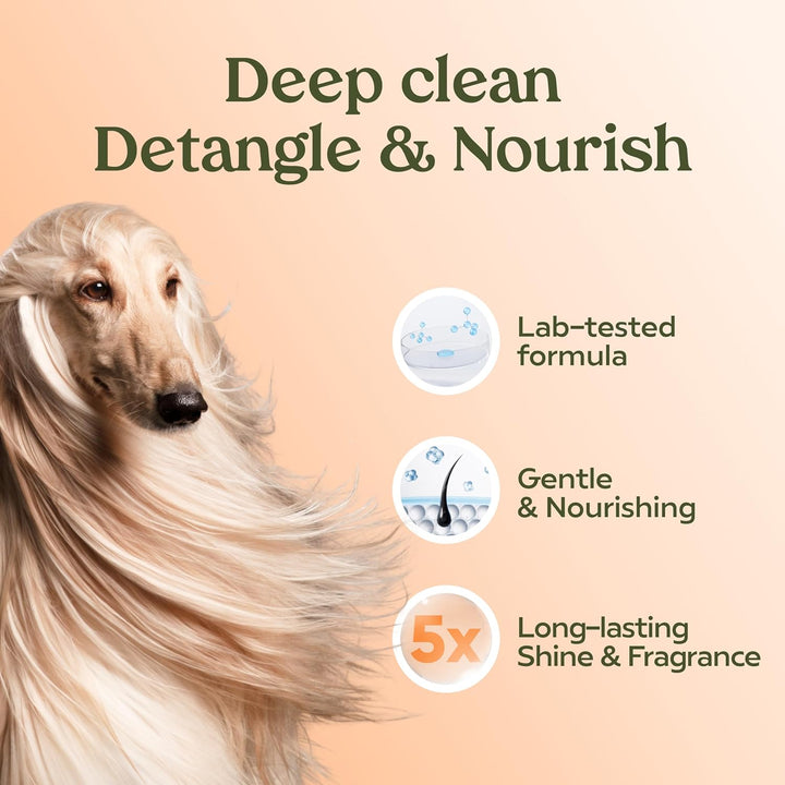 PAWFUME Deshedding Dog Shampoo and Conditioner, Show Dog, 1-Pack – Nourish & Detangle for Silky Soft Coat – Probiotic, Deep-Cleaning, Ph-Balanced Formula – Salon-Quality Shampoo for Dogs
