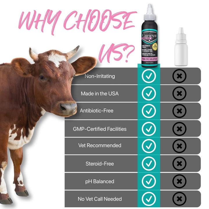 Pink Eye Solution (3 Oz), Dog Eye Drops, Conjunctivitis Eye Drops for Dogs, Cats, Livestock and Horses, Dog Eye Wash with Purified Anolyte, Safe and Soothing Dog Eye Drops for Infection