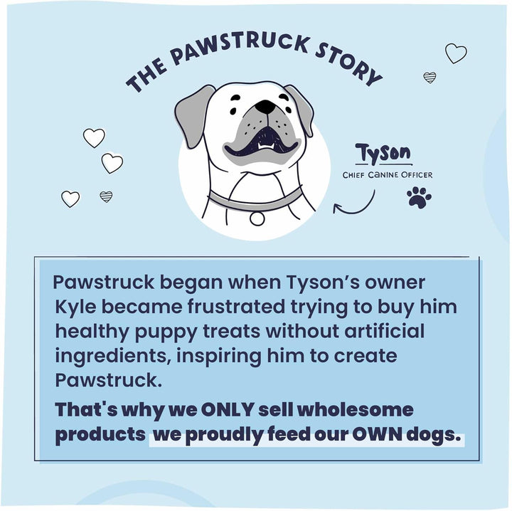 Vet Recommended Air Dried Dog Food Toppers for Picky Eaters, Made in USA with Real Chicken, Premium Meal Mix-In Kibble Enhancer, 8 Oz, Packaging May Vary