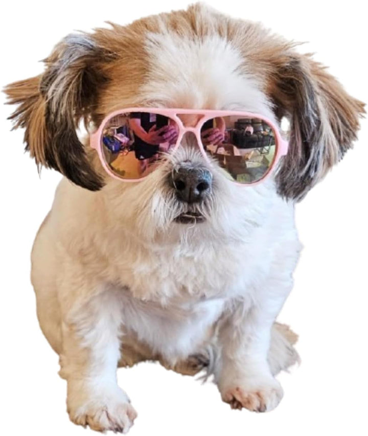 G029 Small Dog Breed up to 15Lbs Cat Pet Aviator Sunglasses Glasses (Black)