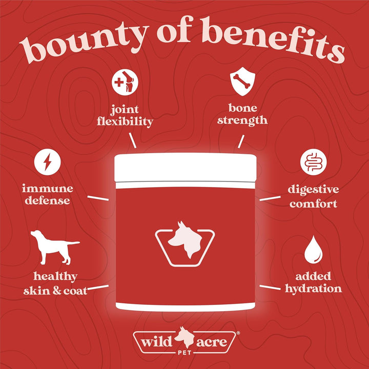 Premium Beef Bone Broth for Dogs – High Protein + Collagen Enhanced with Mushroom Blend for Strong Bones, Joint Flexibility, Digestive Comfort, and Immune Support - Natural Dog Food Topper