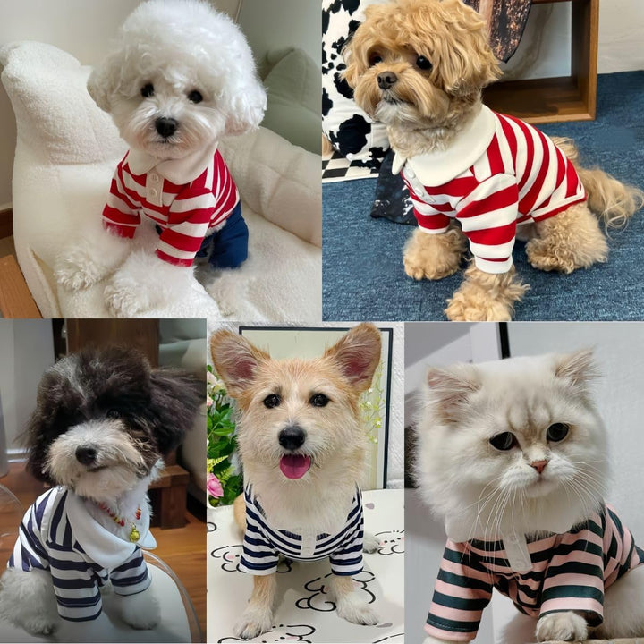 Cute Dog Clothes Boy Dog Polo Shirt for Small Medium Dogs - Summer Male Puppy T Shirts for Yorkie Poodle Shih Tzu Dachshund Kittens, Striped Collared Pet Doggie Designer Outfits Blue S