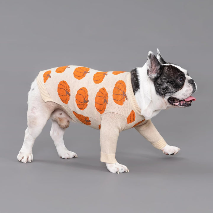 Pumpkin Dog Sweater, Thanksgiving Outfit for Small Dogs Boy Girl, Pet Outfit, Orange, Beige, Medium