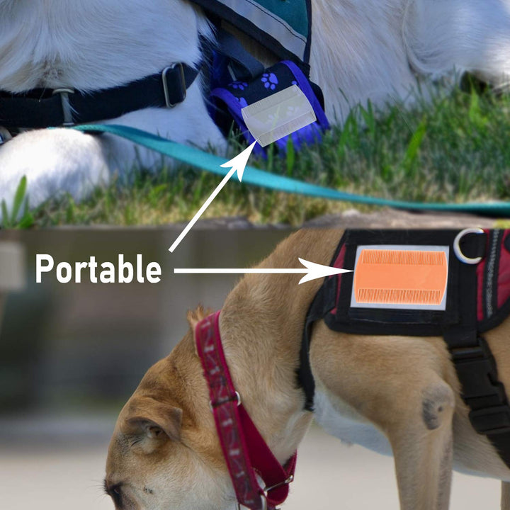 Flea Comb for Cats, 4 Pcs Lice Comb for Dogs, Double Sided Cat Comb for Short Hair of Pets or Humans by