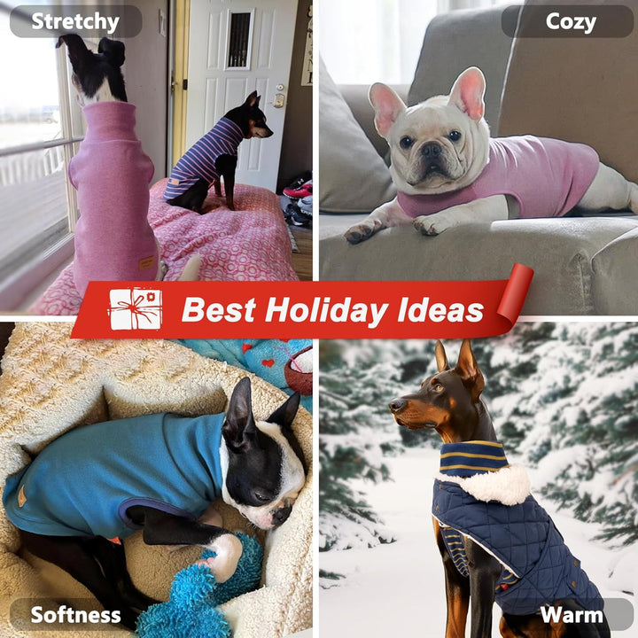 2Pack Dog Sweater Soft Dogs Clothes Warm Dachshund Clothes Turtleneck Pets Coats Dog Sweaters for Small Dogs Girl Pullover Small Pet Sweaters Stretchy Pet Sweatshirt