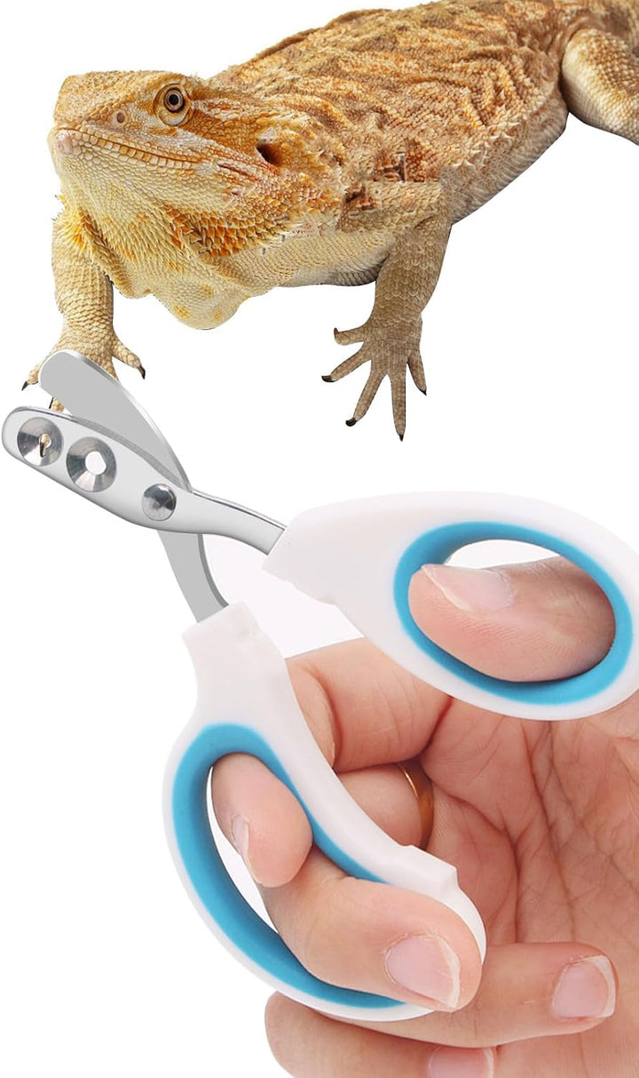 Stainless Steel Bearded Dragon Nail Clippers,Lizard Nail Clippers,Bearded Dragon Supplies,Bearded Dragon Nail Scissors for Small Reptiles,Turtle,Chameleon,Iguana，Hedgehog（Blue）