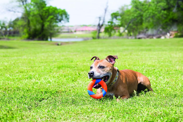 Ultraring Fetch and Chase Outdoor Dog Toy All Breeds