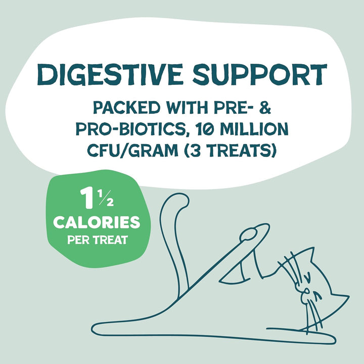 Crunchy Cat Treats - Catnip Treats for Cats with Digestive Support, Kitten Treats with Real Chicken, Natural & Healthy Flavored Feline Snacks - Catnip N Chill, 1-Pk (12 Oz)