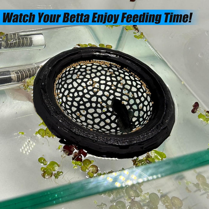 Aquarium Floating Betta Fish Skins, Betta or Shrimp Feeder, Cave and Hammock, Small Fish Feeding Rings, Aquarium Hiding Feeding Decorative Accessories (Black)