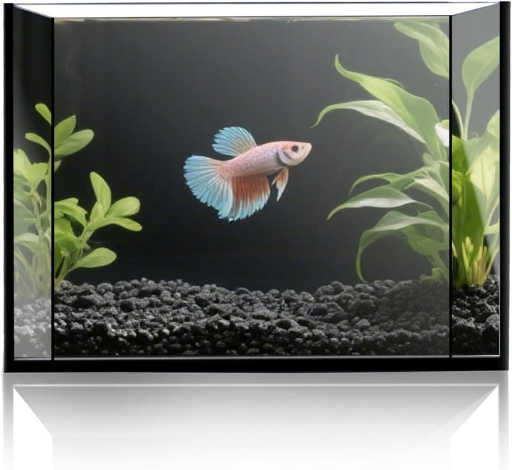2.5 Gallon Glass Small Fish Tank Kit, Betta Fish Tank Aquarium Starter Kit with Filter, Lights, Lid, for Betta, Goldfish, Small Fish or Shrimp