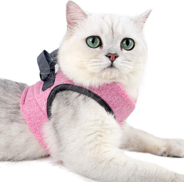Cat Harness and Leash - Ultra Light Escape Proof Kitten Collar Cat Walking Jacket with Running Cushioning Soft and Comfortable Suitable for Puppies Rabbits