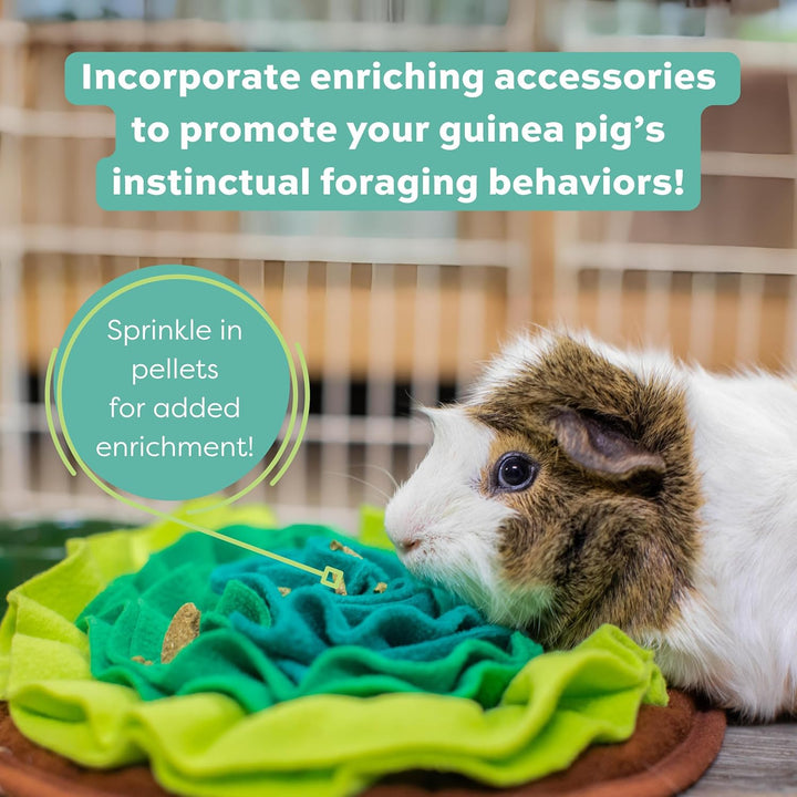 Essentials Guinea Pig Food, Adult Guinea Pig, Made with  Timothy Hay, Pet Food Pellets with Vitamin C, Small Animal Pet Products, Made in USA, High Fiber, 5 Lb. Bag