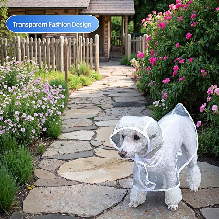Clear Dog Rain Poncho for Small Medium Dogs,Heavy Waterproof Raincoat with Hidden Leash Hole&Adjustable Snaps,Pet Hooded Cape for Bichon Poodle (4-8Lbs) (Transparent, Medium)