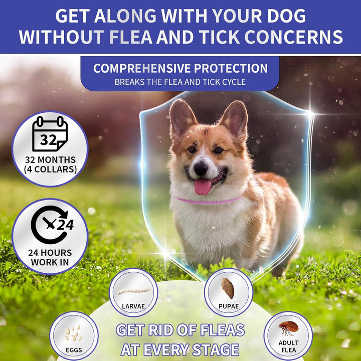 4 Pack Flea Collar for Dogs, Dog Flea Collar Waterproof, 32 Months Prevention, Dog Fleas and Tick Treatment, Adjustable Fleas and Tick Protection for Dogs Puppy(Blue & Pink)